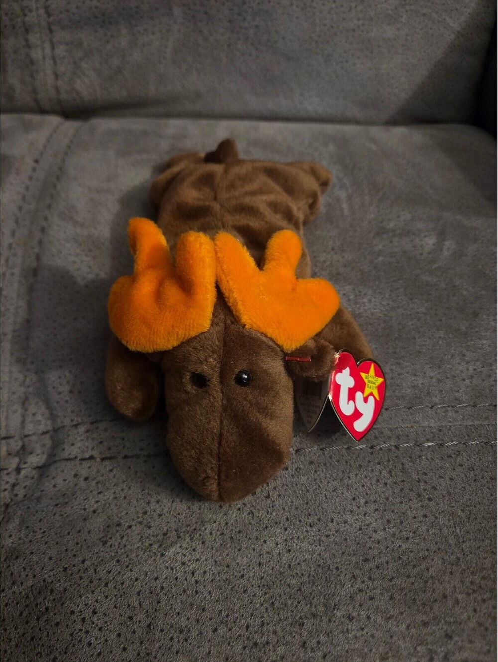 Chocolate the Moose